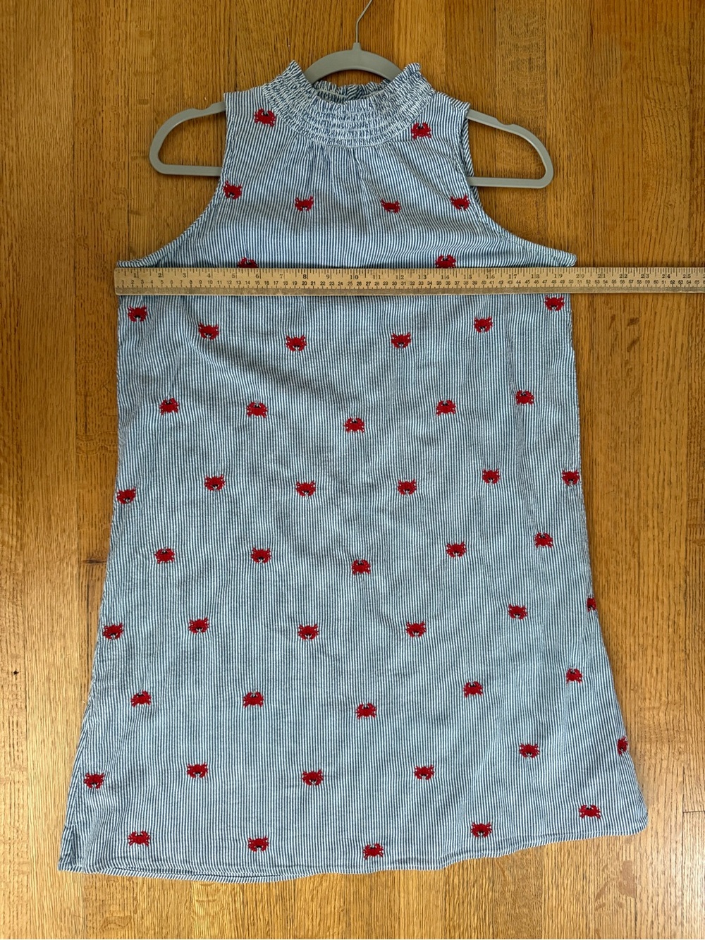 crown & ivy Blue and White Striped Mini Dress with Red Floral Embroidery - Picture 6 of 8